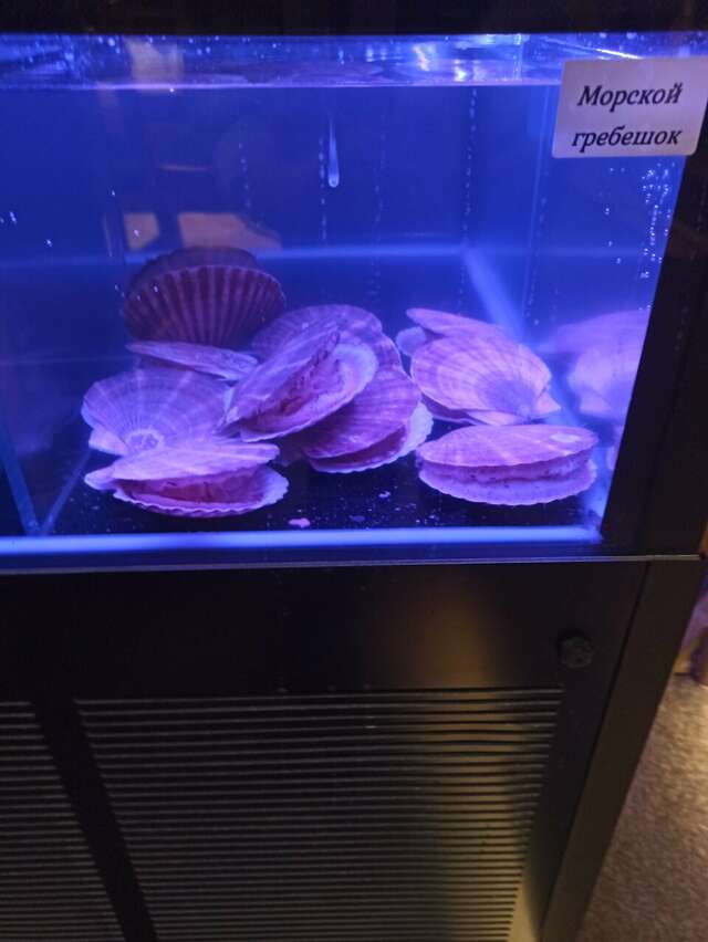 Гостиница Akyan Санкт-Петербург-170